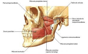 Clinica Jin - Mandibula Travando? Sabia que Pode Ser DTM?